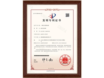 發(fā)明專利（4）