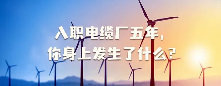 入職電纜廠五年，你身上發(fā)生了哪些變化~
