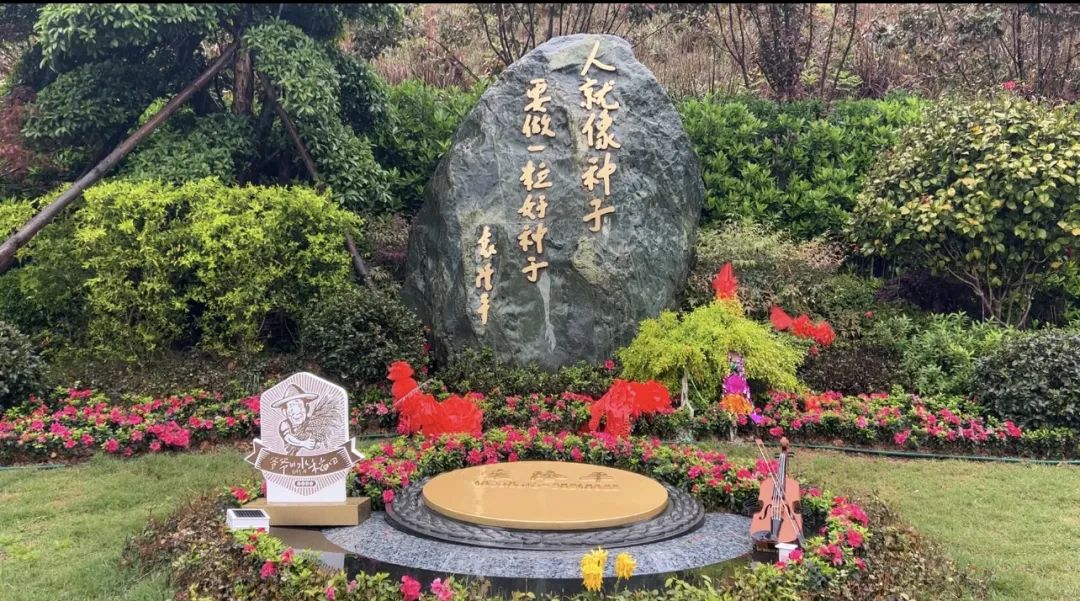 禾下乘涼夢，一稻一人生 我們永遠(yuǎn)懷念袁爺爺 #安全用電你我湘聯(lián)